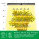 Growlampe - LED | Mars Hydro | 650W | SP 6500 LED-Wachstumsleuchte Samsung