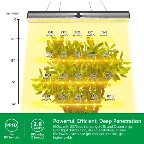 Growlampe - LED | Mars Hydro | 650W | SP 6500 LED-Wachstumsleuchte Samsung – Bild 6