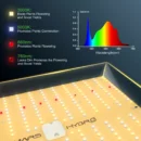 Growlampe - LED | Vollspektrum | 300W | Mars Hydro TSW2000